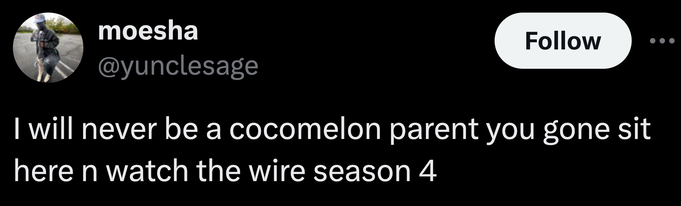 cicada - moesha I will never be a cocomelon parent you gone sit here n watch the wire season 4